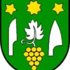 维诺拉德塞波维斯